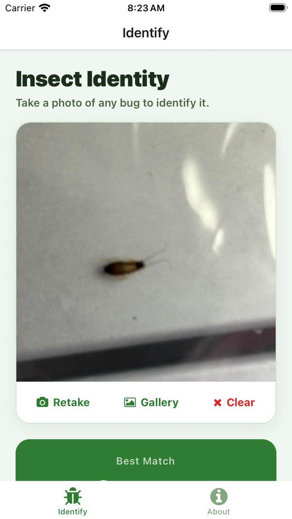A photo of a small brown bug loaded in the app, with Retake, Gallery and Clear buttons and the Best Match card appearing below